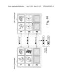 Searching methods using genetic responsivity measurements diagram and image