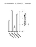 CROP PLANTS WITH IMPROVED WATER USE EFFICIENCY AND GRAIN YIELD AND METHODS     OF MAKING THEM diagram and image