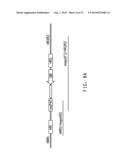 COMPOSITIONS AND METHODS COMPRISING SEQUENCES HAVING MEGANUCLEASE ACTIVITY diagram and image