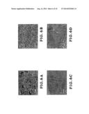 MECHANICALLY ROBUST, ELECTRICALLY CONDUCTIVE ULTRALOW-DENSITY CARBON     NANOTUBE-BASED AEROGELS diagram and image