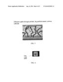 PERMEABLE ELECTRODES FOR HIGH PERFORMANCE ORGANIC ELECTRONIC DEVICES diagram and image