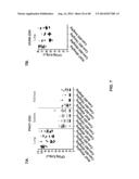 ANTI-PSEUDOMONAS PSL BINDING MOLECULES AND USES THEREOF diagram and image