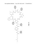 ANTI-PSEUDOMONAS PSL BINDING MOLECULES AND USES THEREOF diagram and image