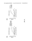 ANTI-PSEUDOMONAS PSL BINDING MOLECULES AND USES THEREOF diagram and image