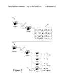 File System Enabling Fast Purges and File Access diagram and image