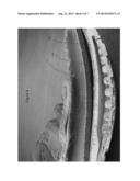 Cushioned Sole with Air Chamber and Resistance Protrusions diagram and image