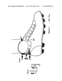 Ankle Flexi System for Soccer shoes, Football shoes, Baseball Shoes, Speed     skates skateboard, Ice skates and Hockey shoes. diagram and image