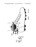 Ankle Flexi System for Soccer shoes, Football shoes, Baseball Shoes, Speed     skates skateboard, Ice skates and Hockey shoes. diagram and image