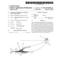 System and method for screening fish during fishing diagram and image