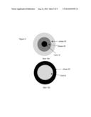 FIBERS MADE FROM SOLUBLE POLYMERS diagram and image