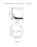 Direct band gap wurtzite semiconductor nanowires diagram and image