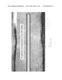 Insert Assembly for Downhole Perforating Apparatus diagram and image