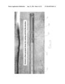 Insert Assembly for Downhole Perforating Apparatus diagram and image
