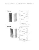 RADIATION DETECTOR DEVICE FOR REJECTING AND EXCLUDING INCOMPLETE CHARGE     COLLECTION EVENTS diagram and image