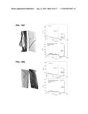 RADIATION DETECTOR DEVICE FOR REJECTING AND EXCLUDING INCOMPLETE CHARGE     COLLECTION EVENTS diagram and image