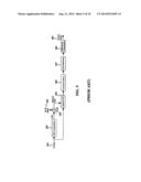 METHOD AND APPARATUS FOR TRANSMITTING AND RECEIVING SCHEDULING ASSIGNMENTS     IN A COMMUNICATION SYSTEM diagram and image