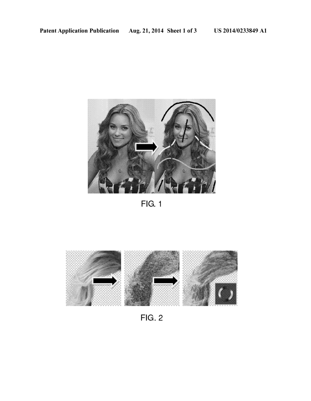 METHOD FOR SINGLE-VIEW HAIR MODELING AND PORTRAIT EDITING - diagram, schematic, and image 02