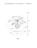 VIDEO ANALYSIS ASSISTED GENERATION OF MULTI-CHANNEL AUDIO DATA diagram and image