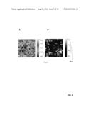 GROWTH OF GRAPHENE FILMS FROM NON-GASEOUS CARBON SOURCES diagram and image