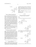 PURINE NUCLEOSIDE ANALOGUES FOR TREATING FLAVIVIRIDAE INCLUDING HEPATITIS     C diagram and image