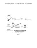 EVALUATION AND IMPROVEMENT OF NUCLEASE CLEAVAGE SPECIFICITY diagram and image