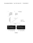 EVALUATION AND IMPROVEMENT OF NUCLEASE CLEAVAGE SPECIFICITY diagram and image