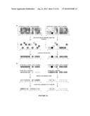 EVALUATION AND IMPROVEMENT OF NUCLEASE CLEAVAGE SPECIFICITY diagram and image