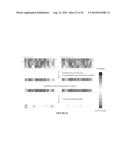 EVALUATION AND IMPROVEMENT OF NUCLEASE CLEAVAGE SPECIFICITY diagram and image