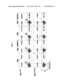 METHODS FOR TREATING A TUMOR USING AN ANTIBODY THAT SPECIFICALLY BINDS     GRP94 diagram and image