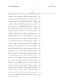 PORCINE PARVOVIRUS 5B, METHODS OF USE AND VACCINE diagram and image