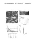 CAGED PLATINUM NANOCLUSTERS FOR ANTICANCER CHEMOTHERAPEUTICS diagram and image