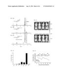 CAGED PLATINUM NANOCLUSTERS FOR ANTICANCER CHEMOTHERAPEUTICS diagram and image