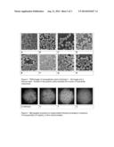 USE OF SYNTHETIC JANUS PARTICLES FOR PREVENTING OR REDUCING CRYSTAL GROWTH diagram and image