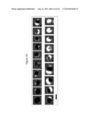 DIAGNOSTIC METHOD AND TREATMENT diagram and image