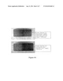 MICRONIZED WOOD PRESERVATIVE FORMULATIONS diagram and image