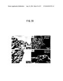 Si/C COMPOSITE MATERIAL, METHOD FOR MANUFACTURING THE SAME, AND ELECTRODE diagram and image