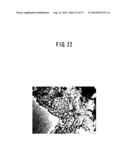 Si/C COMPOSITE MATERIAL, METHOD FOR MANUFACTURING THE SAME, AND ELECTRODE diagram and image