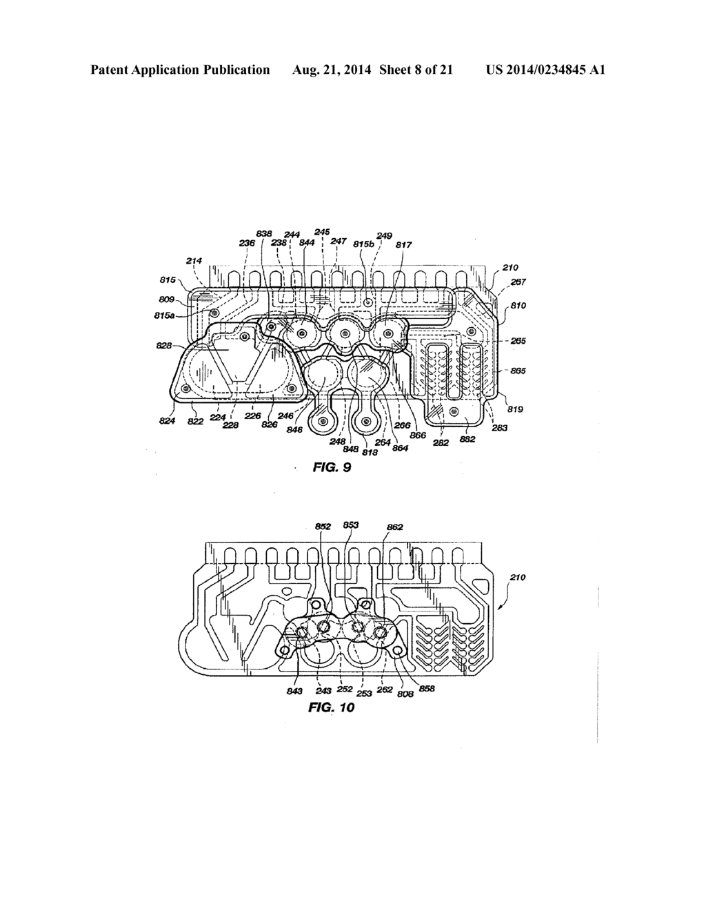 ORGANISM IDENTIFICATION PANEL - diagram, schematic, and image 09