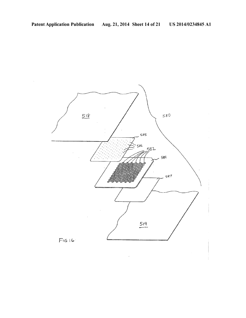 ORGANISM IDENTIFICATION PANEL - diagram, schematic, and image 15