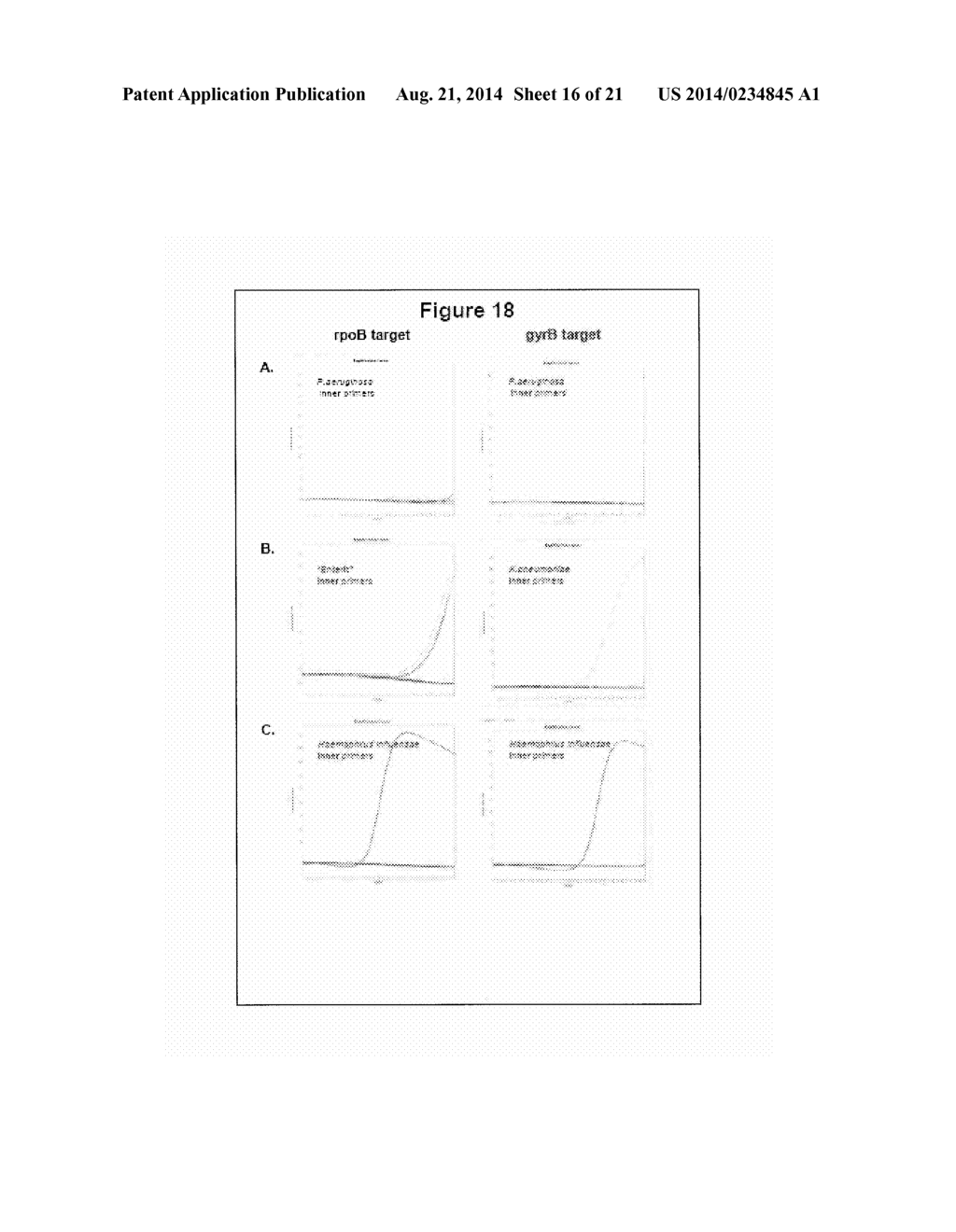 ORGANISM IDENTIFICATION PANEL - diagram, schematic, and image 17