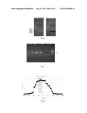 DNA FRAGMENT DETECTION METHOD, DNA FRAGMENT DETECTION KIT AND THE USE     THEREOF diagram and image