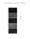 NUCLEOTIDE TRANSIENT BINDING FOR SEQUENCING METHODS diagram and image