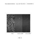 NUCLEOTIDE TRANSIENT BINDING FOR SEQUENCING METHODS diagram and image