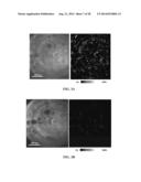 SENSOR FOR DETECTING ANALYTES diagram and image