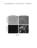 SENSOR FOR DETECTING ANALYTES diagram and image