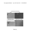 SENSOR FOR DETECTING ANALYTES diagram and image