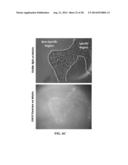 SENSOR FOR DETECTING ANALYTES diagram and image