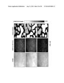 SENSOR FOR DETECTING ANALYTES diagram and image