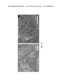 SENSOR FOR DETECTING ANALYTES diagram and image