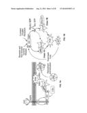 TARGET OF THE PHOSPHOINOSITIDE 3-KINASE PATHWAY diagram and image